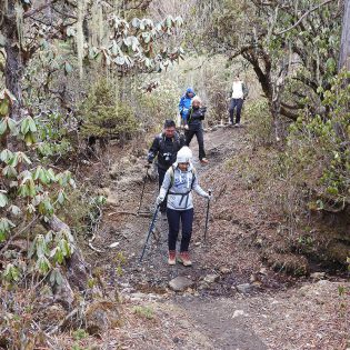 Druk Path Trek With Culture Tour