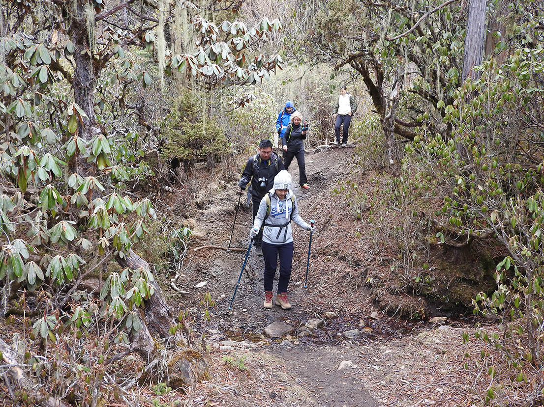 Druk Path Trek With Culture Tour